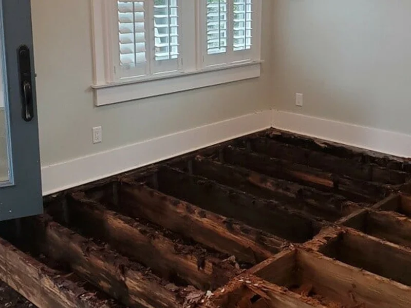 Gomez-Tampa-Crawlspace-Subfloor-4